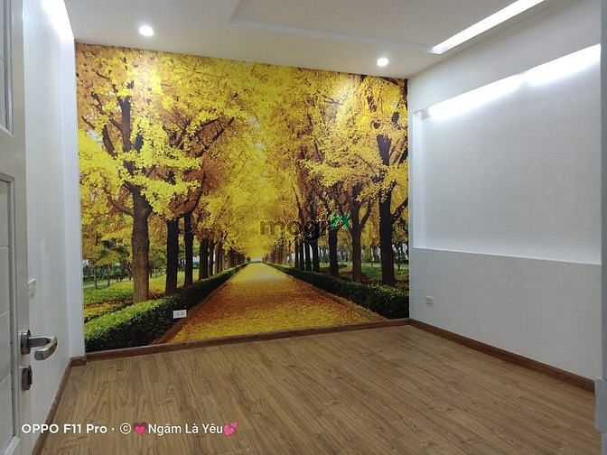 Hình ảnh Phân lô phố Thái Hà - ĐỐNG ĐA 52M2 4 TẦNG 8.5 TỶ - MỚI ĐẸP
