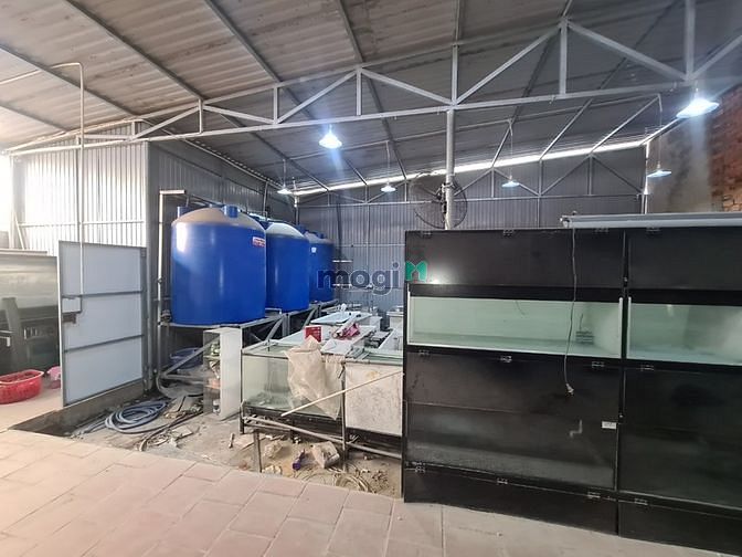 Hình ảnh Cho thuê kho xưởng 700m APĐ 09, có vp, camera an ninh