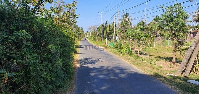 Hình ảnh Bán đất vuông vức mặt tiền xã Bình Thạnh, huyện Thạnh Phú, Bến Tre