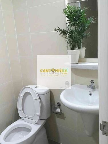 Hình ảnh Cho thuê Mb6623 nạp rút nhanh chóng M-One Q7 , 2PN-2Wc , 13tr/tháng
