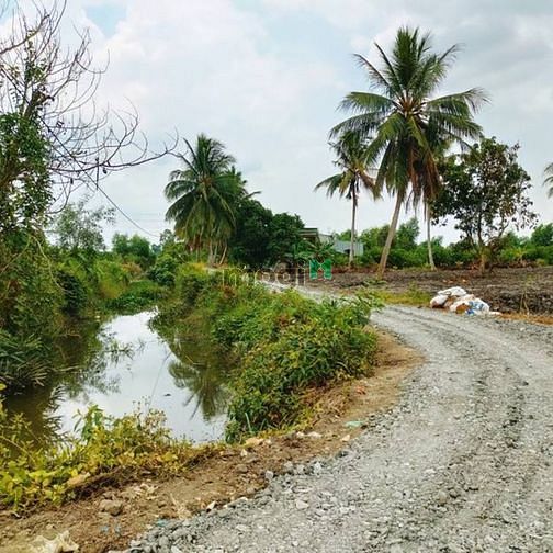 Hình ảnh Chính chủ cần bán 4.900m2 thổ+vườn 7tỷ500