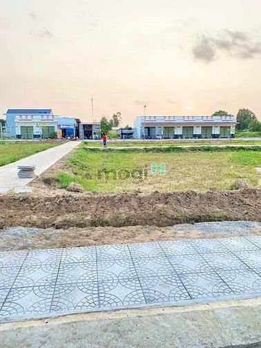 Hình ảnh Đất vàng giữa lòng thành phố biển
