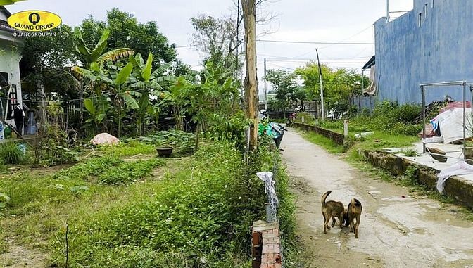 Hình ảnh Bán đất nền hoà châu hoa vàng đà nẵng