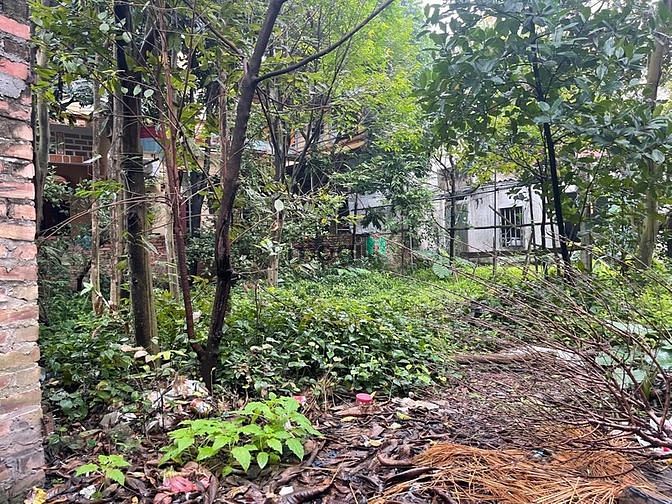 Hình ảnh Bán gấp 230m2 đất MT16m Hà Mãn, Thuận Thành, SĐCC 2022, chỉ 8triệu/m2.