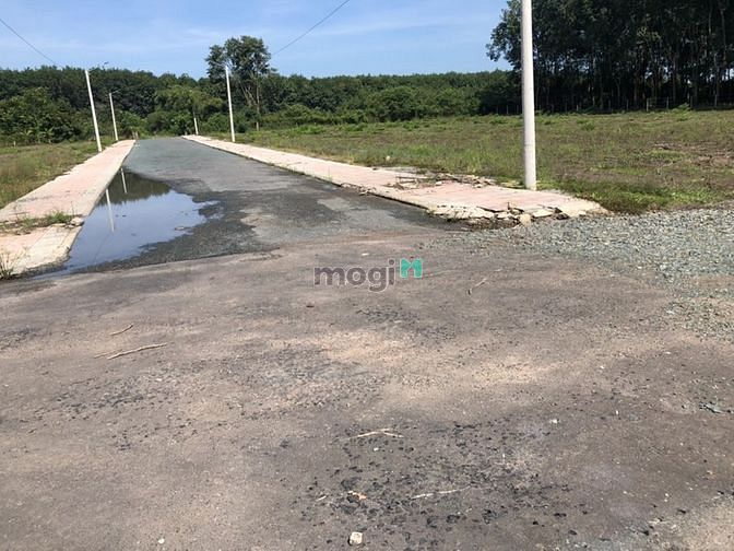 Hình ảnh Chỉ 980Trsỡ hữu ngay đất sổ hồng riêng tại Đức Hòa