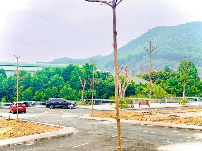 Hình ảnh gia đình cần bán gấp mảnh đất 2000m2 Bãi Dài, Tiến Xuân