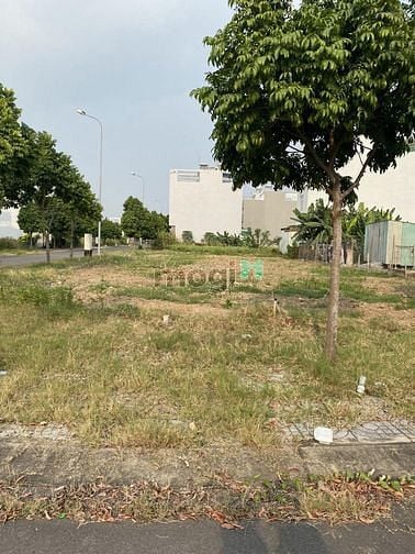 Hình ảnh Đất ngay MT Tạ Quang Bửu gần Chi cục thuế Quận 8, SHR, 80m2/1 tỷ850