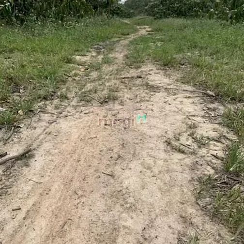 Hình ảnh 🆘🆘 Một chiếc đất SIÊU ĐẸP cho nhà ĐẦU TƯ