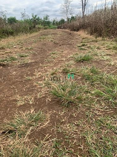 Hình ảnh 🆘🆘 Một chiếc đất SIÊU ĐẸP cho nhà ĐẦU TƯ