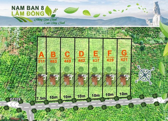 Hình ảnh đất chính chủ cần bán DT 453m2 sẵn 105m thổ