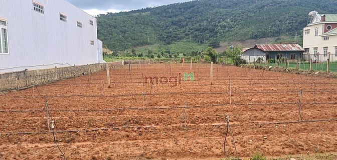 Hình ảnh Bán đất trung tâm hiệp an 6x50 - 100m2 thổ cư - đức trọng