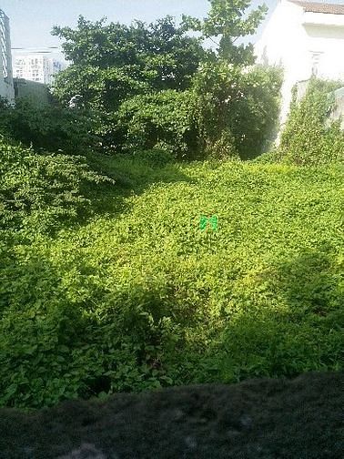 Hình ảnh Bán 700m đất dân cư hiện hữu đường 4m gần sông gò dưa Linh Đông, sổ đỏ
