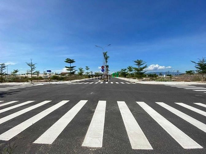 Hình ảnh Độc quyền giỏ hàng para grus giá tốt nhất hiện nay