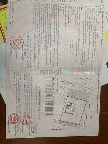 Hình ảnh Bán đất Hóc Môn, MT Đặng Công Bỉnh, 40x70, Thổ cư