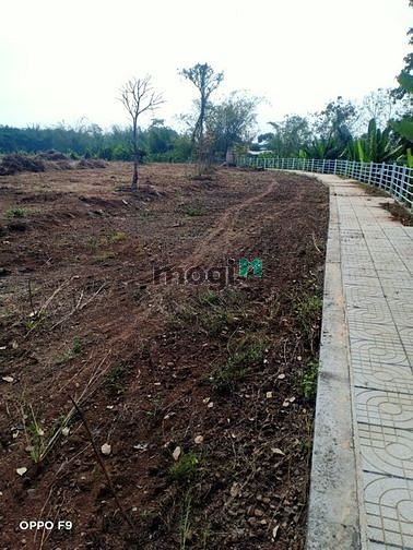 Hình ảnh Còn duy nhất  2 nền view suối cực kỳ đẹp thoáng mát,giá rẻ