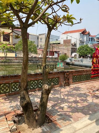 Hình ảnh Nhà Tôi có đất 40m2 Cần Bán tại Làng Cam Cổ Bi Gia Lâm