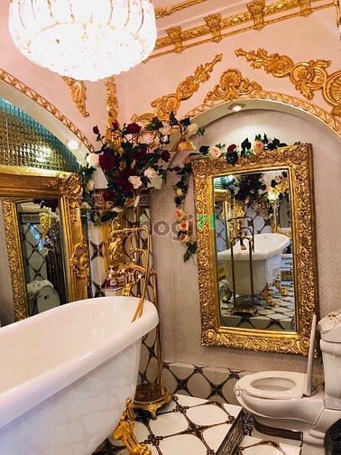Hình ảnh Bán Biệt Thự Cao Cấp Đường Số 17, Lâm Văn Bền, Quận 7.