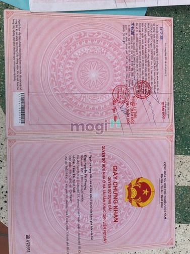 Hình ảnh Bán Đất 2 mặt tiền Thanh Niên, 36x50, Phạm Văn Hai, Bình Chánh