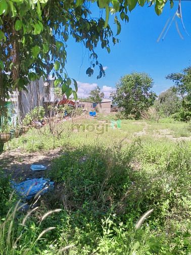 Hình ảnh Bán Đất MT Thanh Niên- An Hạ, 15x60