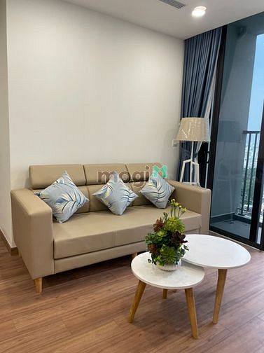 Hình ảnh Cho thuê nhanh Eco green Quận 7 nhà siêu đẹp
