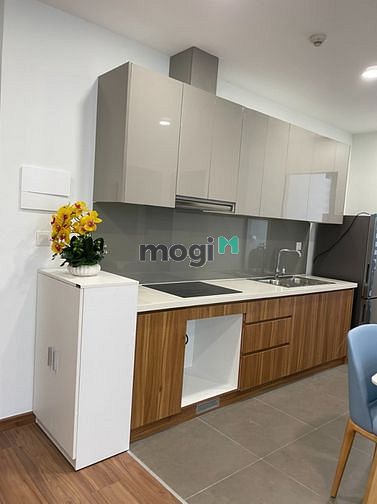Hình ảnh Cho thuê nhanh Eco green Quận 7 nhà siêu đẹp