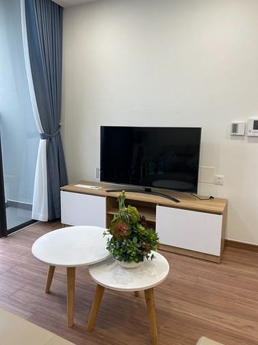 Hình ảnh Cho thuê nhanh Eco green Quận 7 nhà siêu đẹp