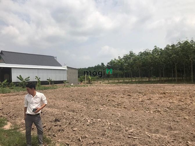 Hình ảnh Nguồn F0 Minh Thạnh Dầu Tiềng dành cho nhà Trang MB66.COM Chính Thức - MB 66 Uy Tín