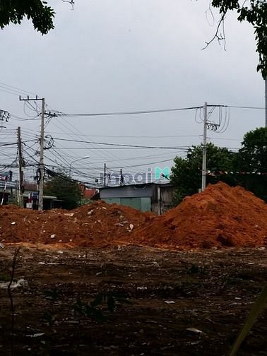 Hình ảnh Cho Thuê Đất 5000m2, Đường thanh niên, Tân Bình, Dĩ An, Bình Dương