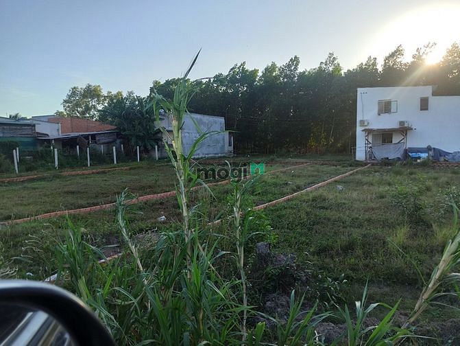 Hình ảnh Bán đất thổ bao xây dựng (4x8) Mỹ Hạnh-Long An