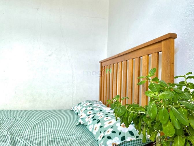Hình ảnh Cho thuê Trang Chủ MB66.COM / Đăng Ký Tặng 66K PN tách biệt ở Điện Biên Phủ
