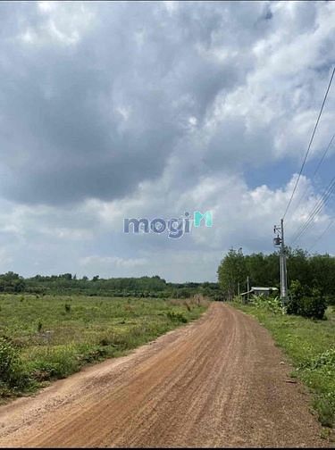 Hình ảnh Bán Đất Thổ Cư 10m2 Giá Rẻ Ngay Chợ Bình Chánh , SHR, MT 8m