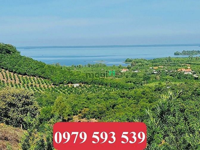 Hình ảnh Chủ gửi bán 2 lô đất full thổ, La Ngà Định Quán