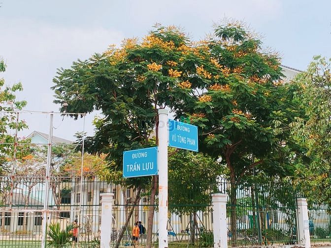 Hình ảnh Đất Mặt Tiền đường Vũ Tông Phan (10m x 20m)P.AnPhú Q2-Giá: 260Triệu/m2