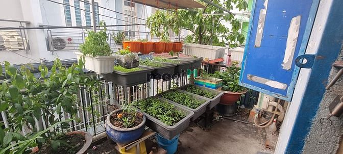 Hình ảnh Bán nhà Phan Văn Trị Quận 5, Ngang 5m x 15m, 4 PN, Chỉ 6.X Tỷ