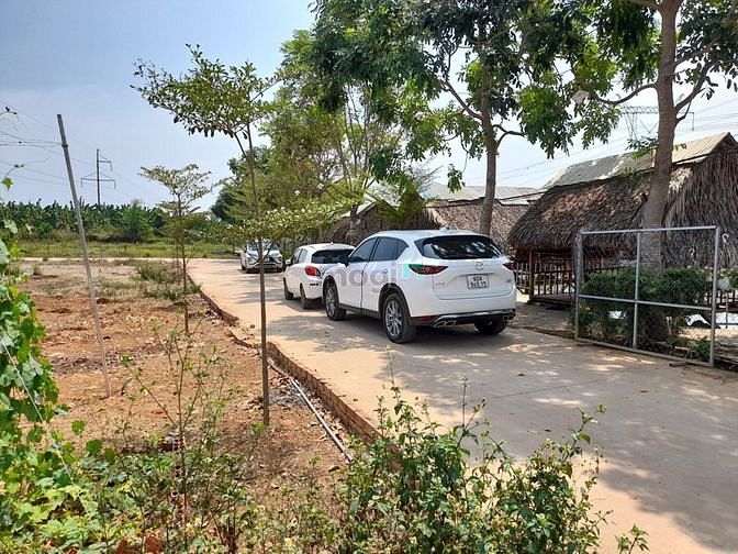 Hình ảnh Đất Vườn Cây Gáo Trảng Bom 1000m2
