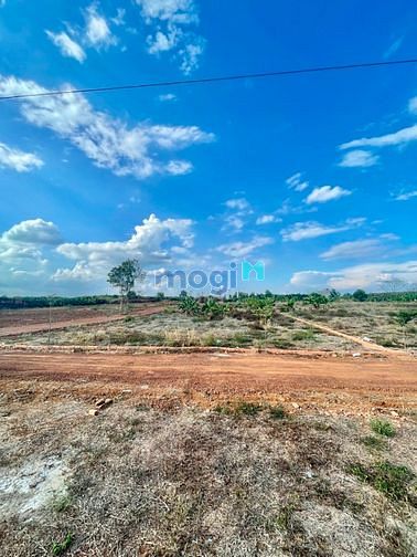 Hình ảnh Đất Vườn Cây Gáo Trảng Bom 1000m2