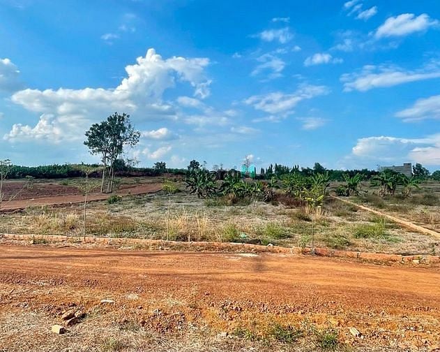 Hình ảnh Đất Vườn Cây Gáo Trảng Bom 1000m2