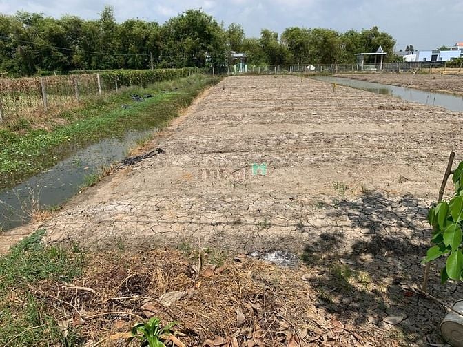 Hình ảnh Đất 2 mặt tiền đường Hủ Tiếu, Phước Lâm, Cần Giuộc, Long An.