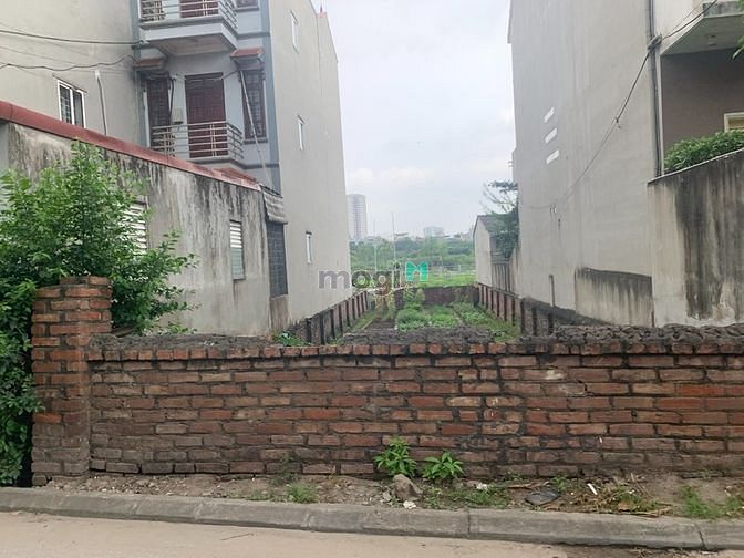 Hình ảnh Bán rất gấp lô đất 48,3m mặt đường xóm 2 Đông Dư, ô tô vào nhà
