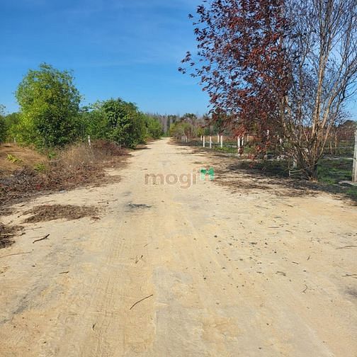 Hình ảnh Bán đất biển  khu rừng vàng trục đường số 1   Tân Bình thị xã La Gi