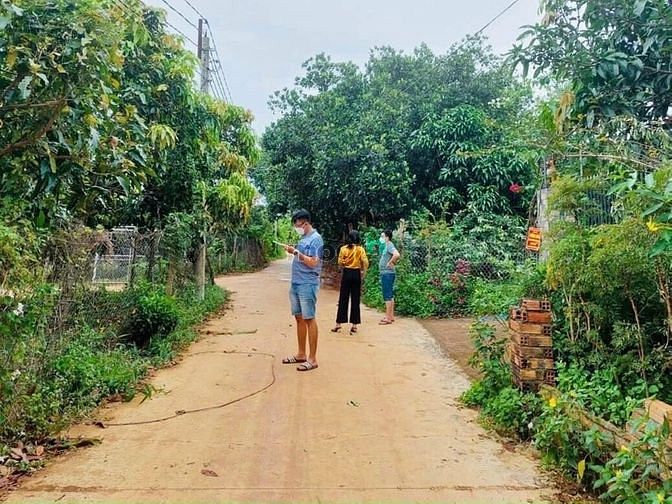 Hình ảnh Đất 1100 có 100m2 Thổ Cư Ngay Hồ Trị An , Định Quán , Đồng Nai