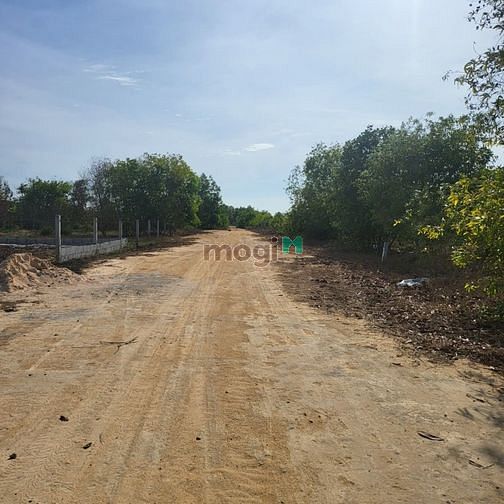 Hình ảnh Bán Đất   KHU RỪNG VÀNG  Tân Bình TX LaGi Bình Thuận