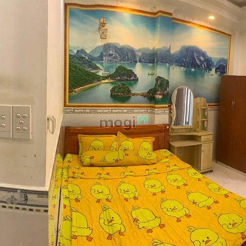 Hình ảnh Phòng mới có thang máy Tân Sơn p12 gò vấp