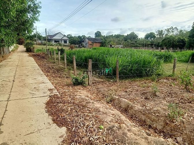 Hình ảnh Bán Đất TÂN HÀ HÀM TÂN 22x40 FULL HỒNG