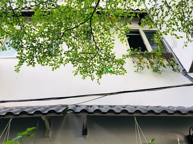 Hình ảnh Bùi Hữu Nghĩa ,Vũ Tùng  P 2 , Bình Thạnh , 1,55 TỶ