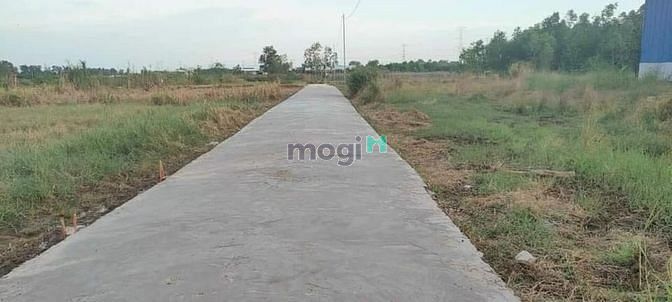 Hình ảnh Bán Đất Cụm Dân Cư Nhơn Trạch 1107m2, Giá 4,6tr/m2, Đất Sạch Phủ Hồng
