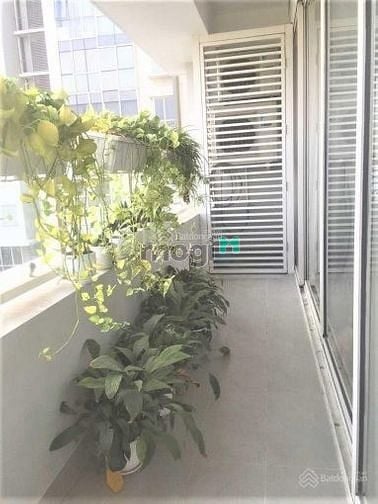 Hình ảnh Sunrise City - Quận 7 - Có sổ - 60m2 - 1PN - Ban công lớn - 3TY3
