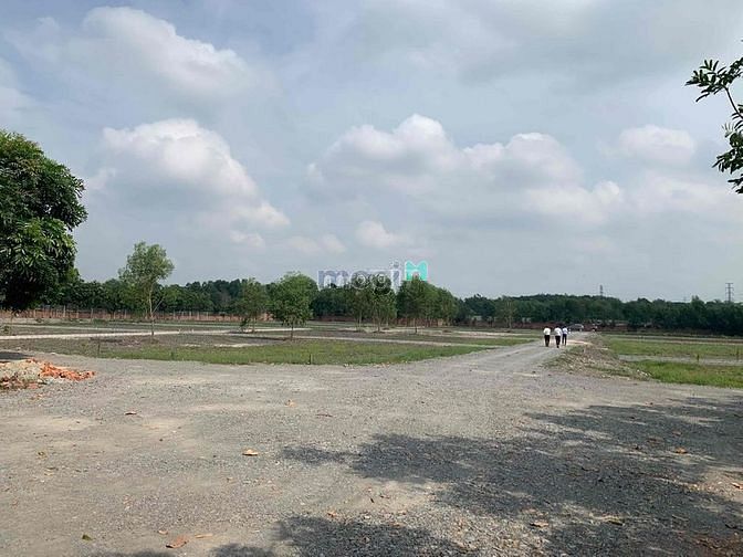Hình ảnh Đất vườn lô góc 1592m2 giá 2ty870 ở Nhuận Đức sổ hồng riêng