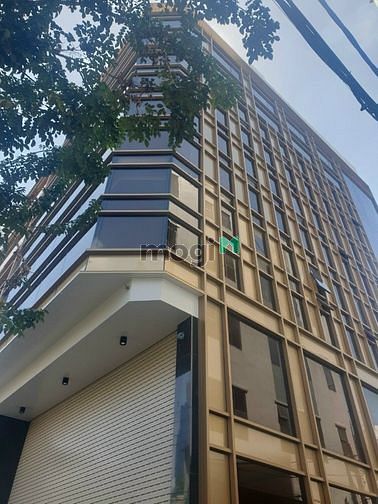 Hình ảnh Cho thuê 32 Phạm Ngọc Thạch, dt 20*30m, 2 hầm 12 tầng nổi