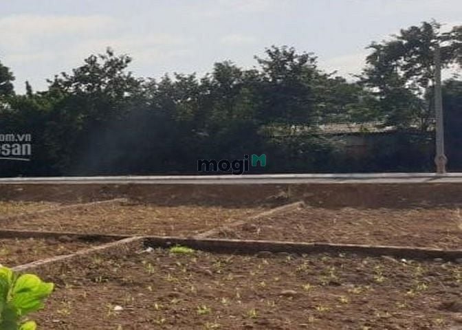 Hình ảnh Cần Bán Đất Nền Tại Thạch Thất, HN Sổ Đỏ Đầy Đủ